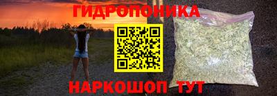 тгк Обь