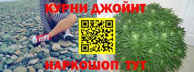 тгк Обь