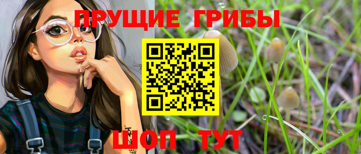 Псилоцибиновые грибы MAGIC MUSHROOMS  Вход с VPN  Таганрог 